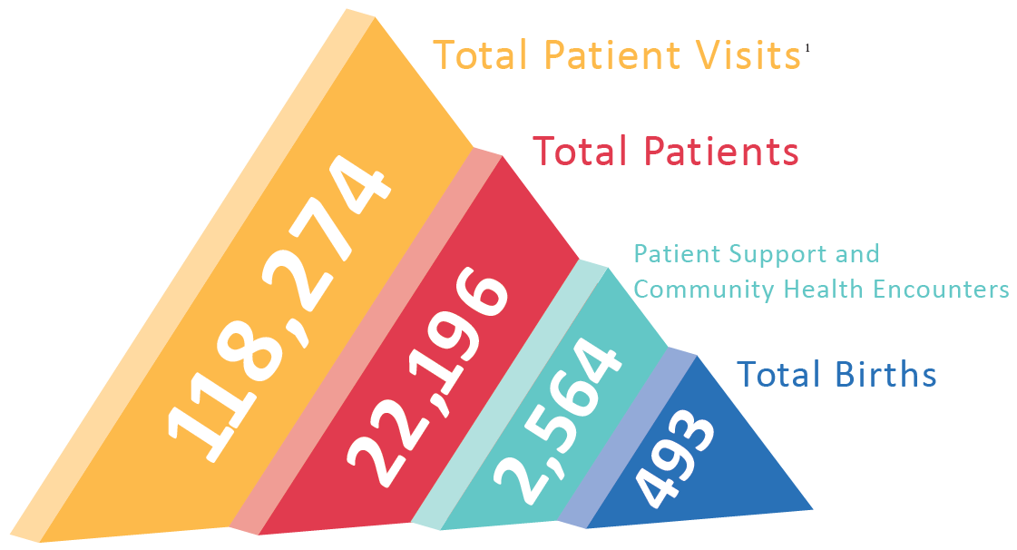 2020 patient visits