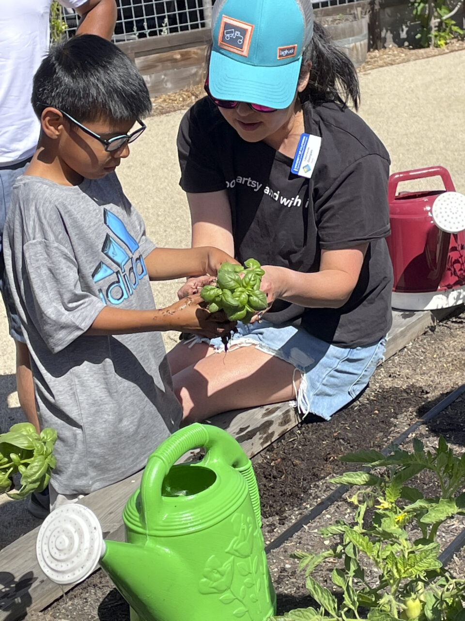 gardening ole health