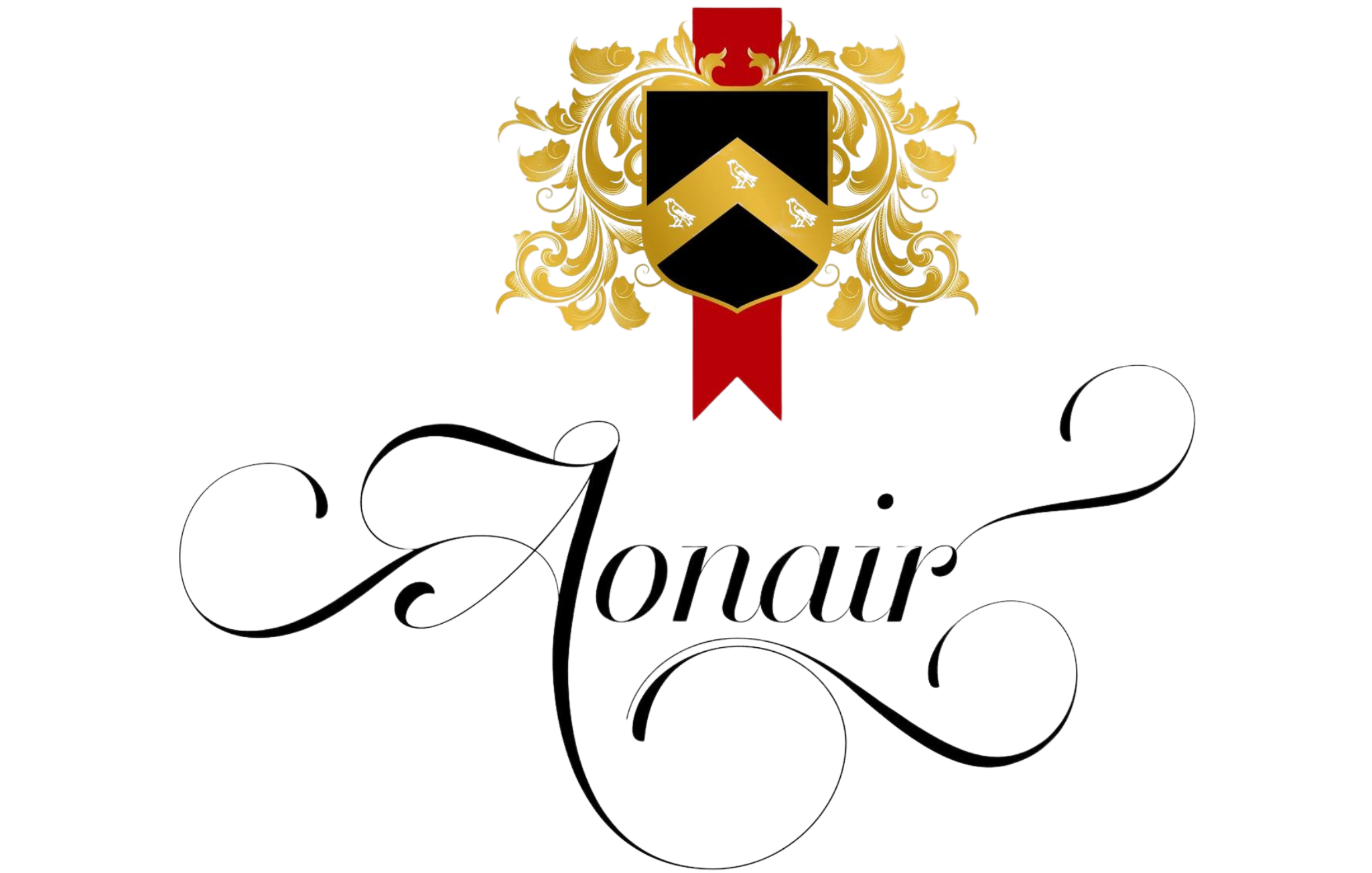aonair logo