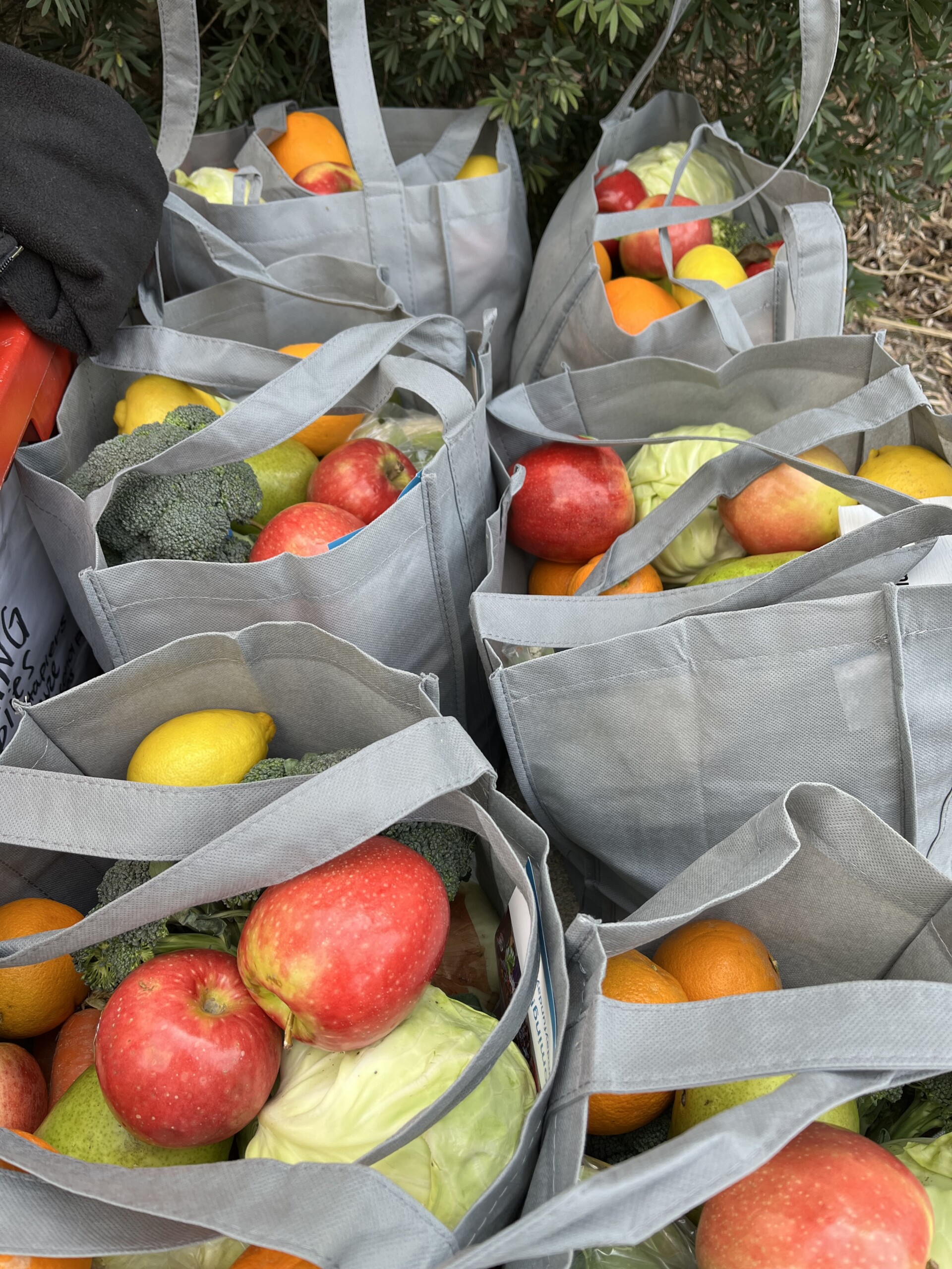 Calistoga Fruits & Veggies