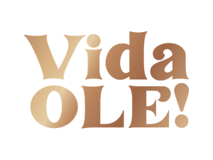 vida logo small